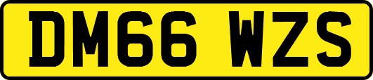 DM66WZS