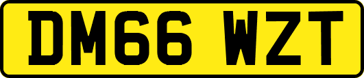DM66WZT