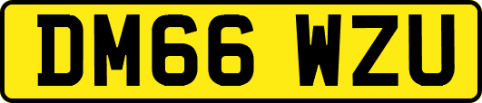 DM66WZU
