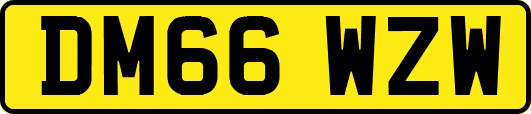 DM66WZW
