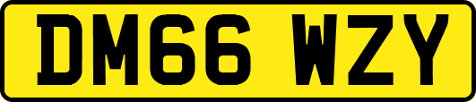 DM66WZY