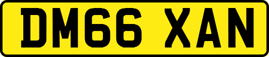 DM66XAN