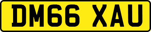 DM66XAU