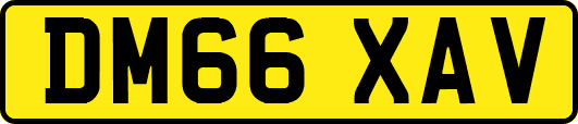 DM66XAV