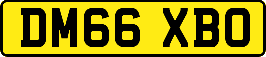 DM66XBO