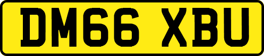 DM66XBU