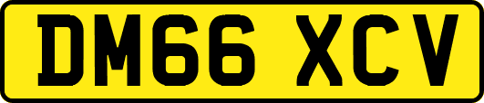 DM66XCV