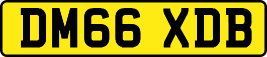 DM66XDB