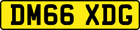 DM66XDG