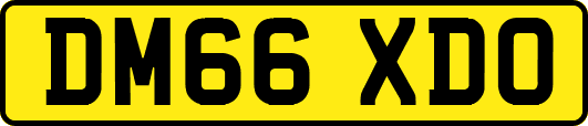 DM66XDO