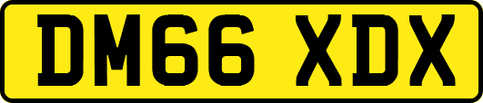 DM66XDX