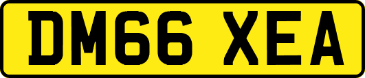 DM66XEA