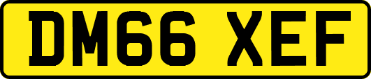 DM66XEF