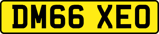 DM66XEO