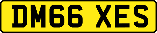 DM66XES