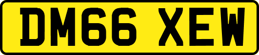 DM66XEW
