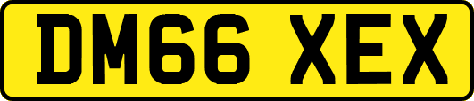 DM66XEX