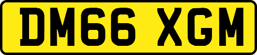 DM66XGM