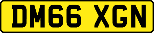 DM66XGN