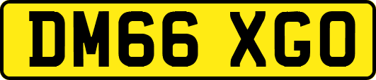 DM66XGO