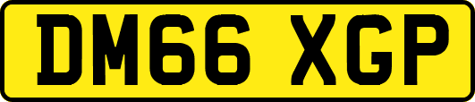 DM66XGP