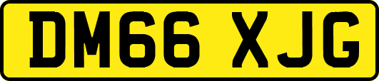 DM66XJG