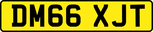 DM66XJT