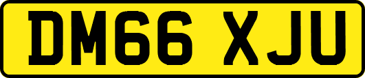 DM66XJU