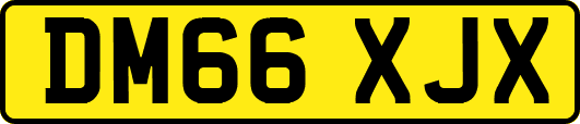 DM66XJX