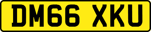 DM66XKU