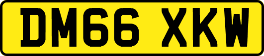DM66XKW