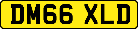 DM66XLD
