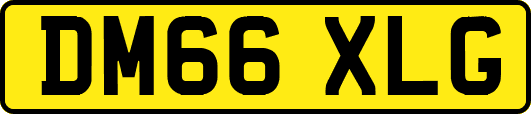 DM66XLG
