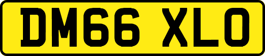 DM66XLO