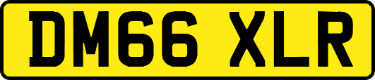 DM66XLR