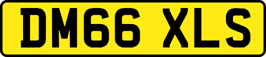 DM66XLS