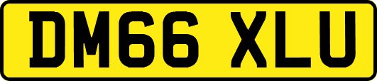 DM66XLU