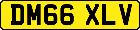 DM66XLV