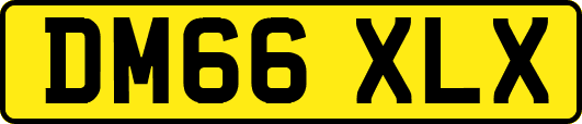 DM66XLX