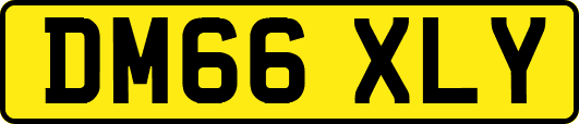 DM66XLY