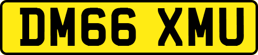 DM66XMU