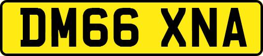 DM66XNA