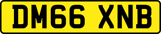 DM66XNB