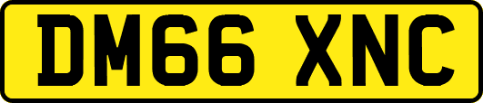 DM66XNC