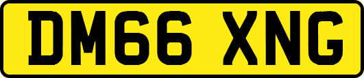DM66XNG