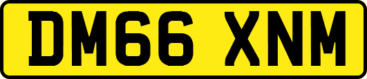 DM66XNM
