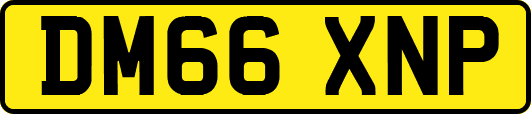 DM66XNP