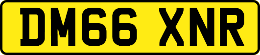 DM66XNR