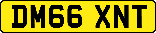 DM66XNT