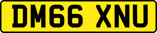 DM66XNU